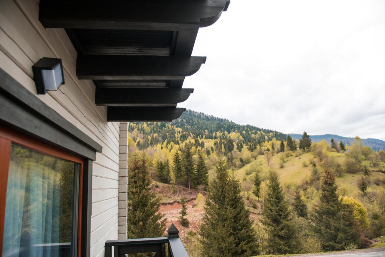 Chalet Carpat Dream Synevyr Exterior foto