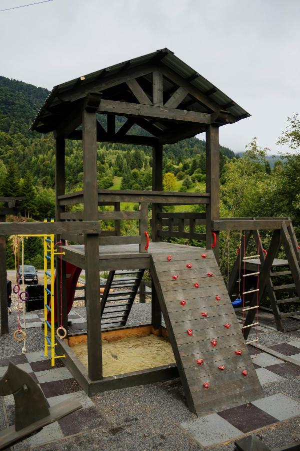 Chalet Carpat Dream Synevyr Exterior foto