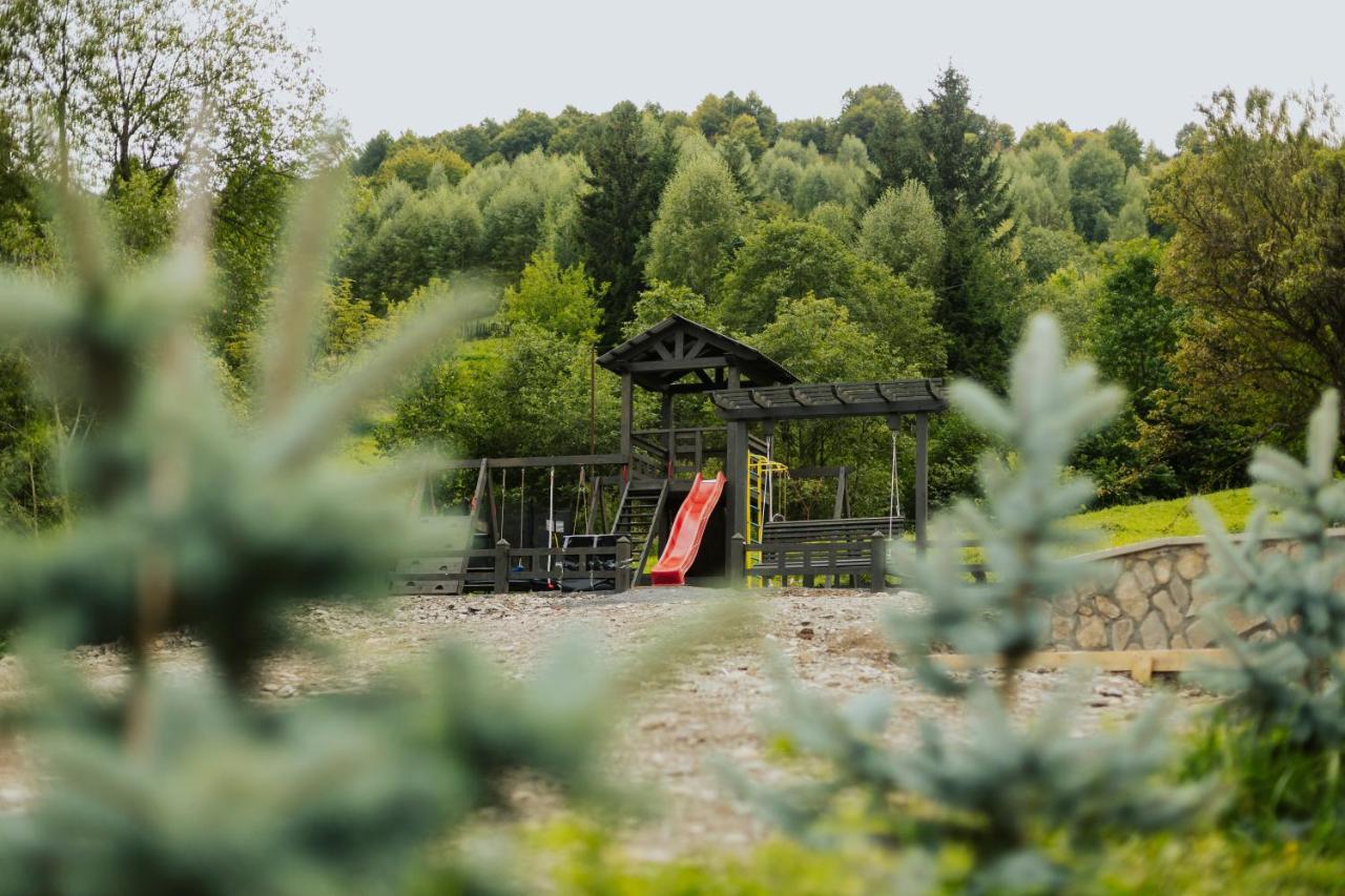 Chalet Carpat Dream Synevyr Exterior foto